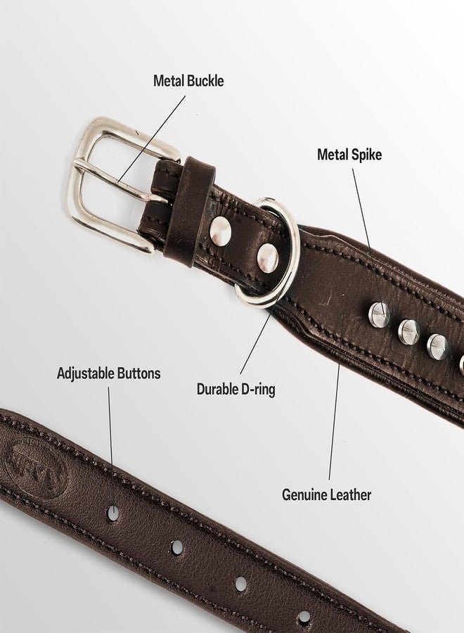 ADIL'S Adil’s Leather Dog Collar 32mm with Spike, Adjustable Metal Buckle Studded Collars for Small, Medium, & Large Dog with D Ring, Width (1”,1.5”,1.25”) Size (14 to 28 in),Black (Brown, L(20"-24")) - Image 2